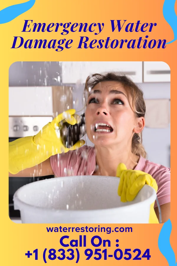 Emergency Water Damage Restoration in Hornbeck, LA