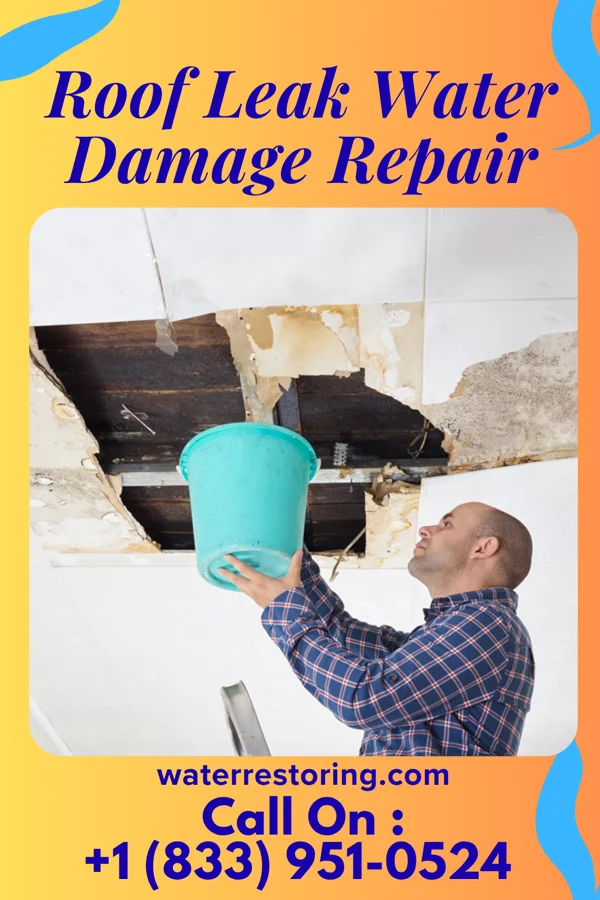 Roof Leak Water Damage Repair in Hornbeck, LA
