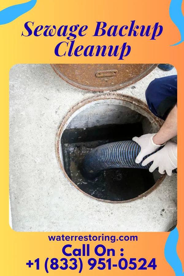 Sewage Backup Cleanup in Hornbeck, LA