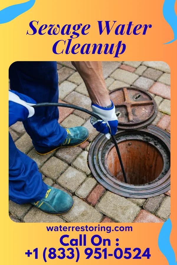 Sewage Water Cleanup in Hornbeck, LA
